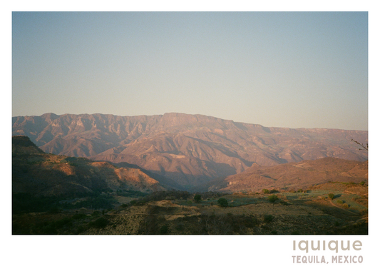 Tequila Print